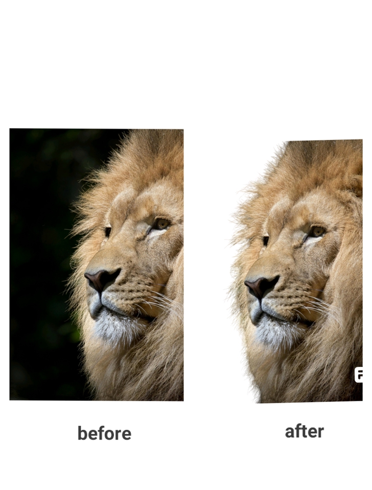 Jasa edit foto online, edit foto produk, hapus background foto, ganti background foto online, edit background foto, edit foto wedding, edit foto pernikahan, jasa photoshop online