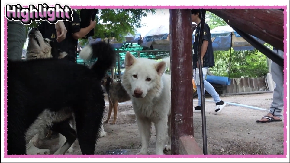 ถ่ายและตัดต่อวีดีโอ - รับตัดต่อวีดีโอทุกรูปแบบ !!! - 5