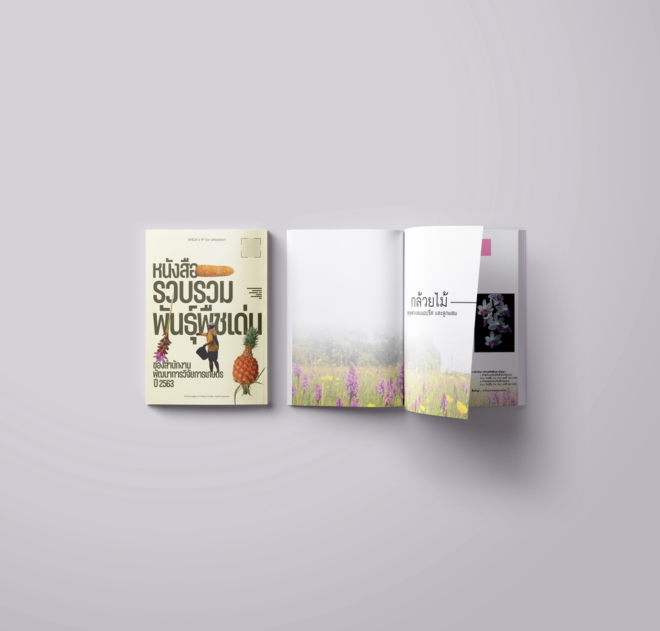 Portfolio & Resume - PORTFOLIO /COMPANY PROFILE ราคาดี! - 7
