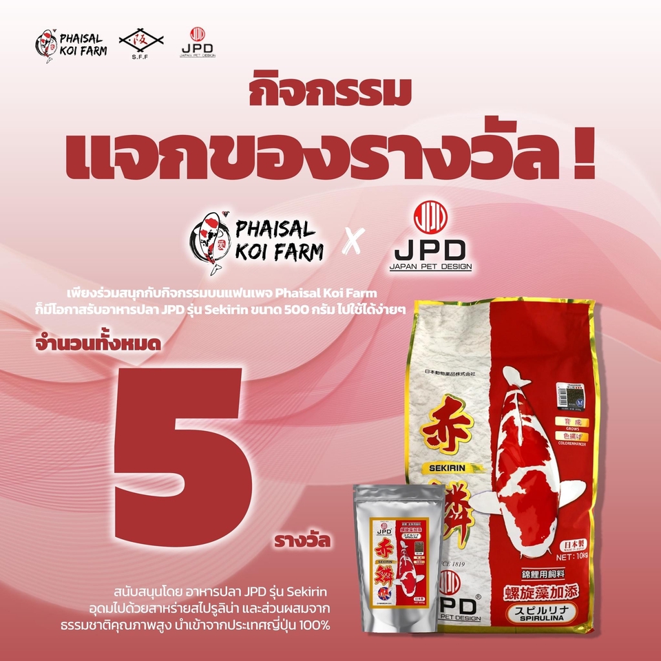 Banner โฆษณา - ออกแบบ Banner / Content Online/ ภาพโฆษณา ทางโซเชียล - 13