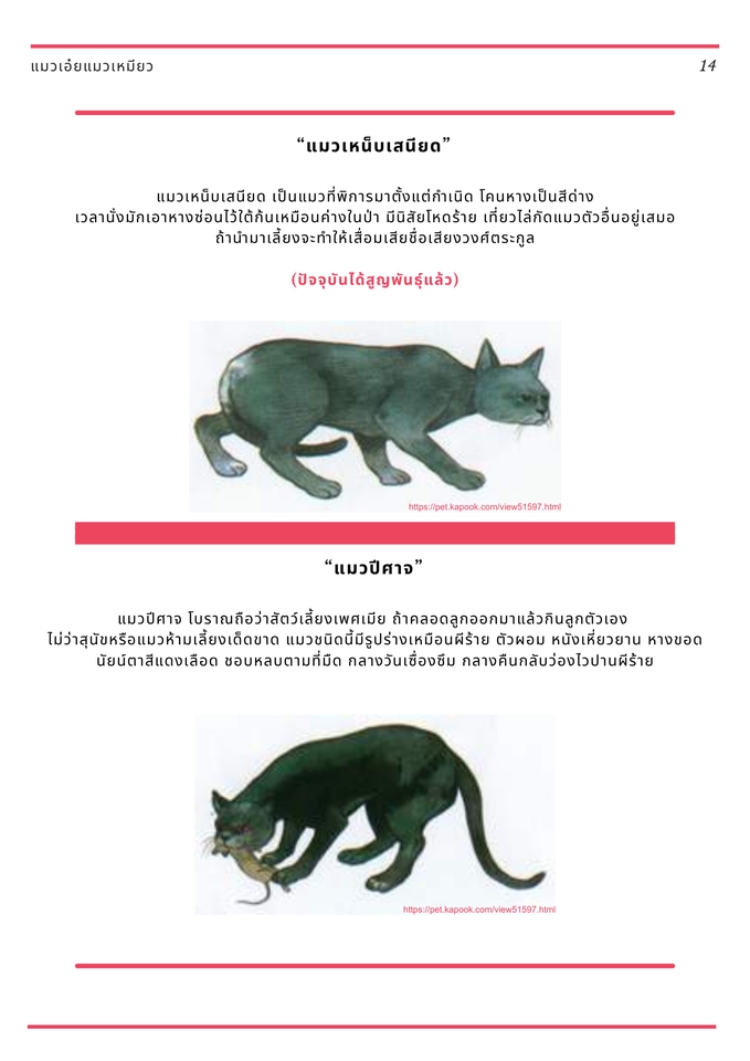 รับพิมพ์งาน พนักงานคีย์ข้อมูล รับพิมพ์เอกสาร รับคีย์ข้อมูล รับทำรายงาน