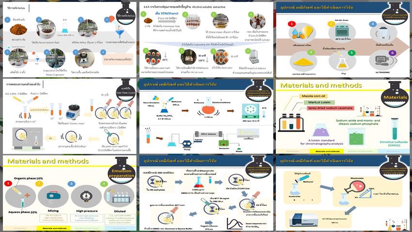 Presentation - รับทำ Powerpoint ดีไซน์สร้างสรรค์ :) - 10