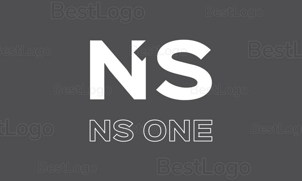 รับออกแบบโลโก้ NS ONE โลโก้เรียบหรู ดูแพง ออกแบบโลโก้สไตล์มินิมอล