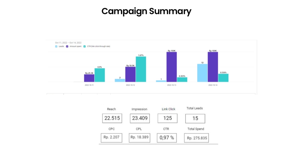 Digital Marketing - Facebook Ads, Instagram Ads, Tiktok Ads Setup and Optimization - 2