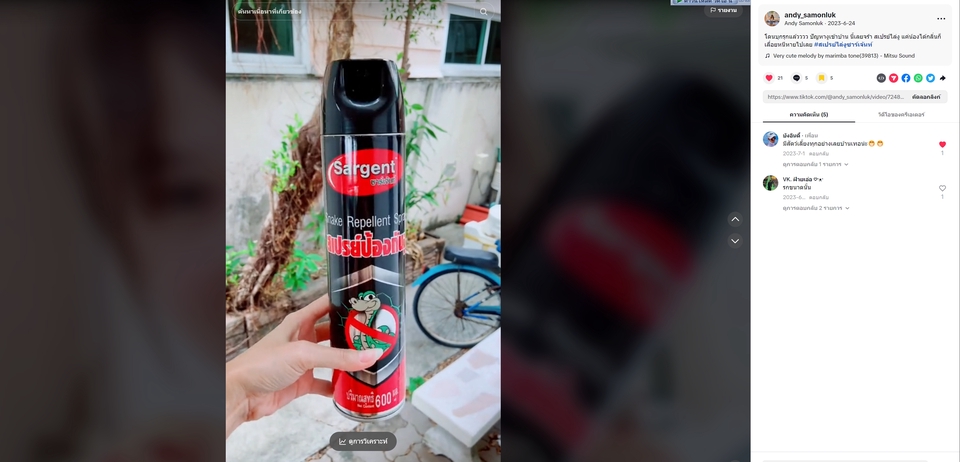 เน็ตไอดอลและบล็อกเกอร์รีวิว - รีวิวสินค้าหรือรีวิวสถานที่ - 14