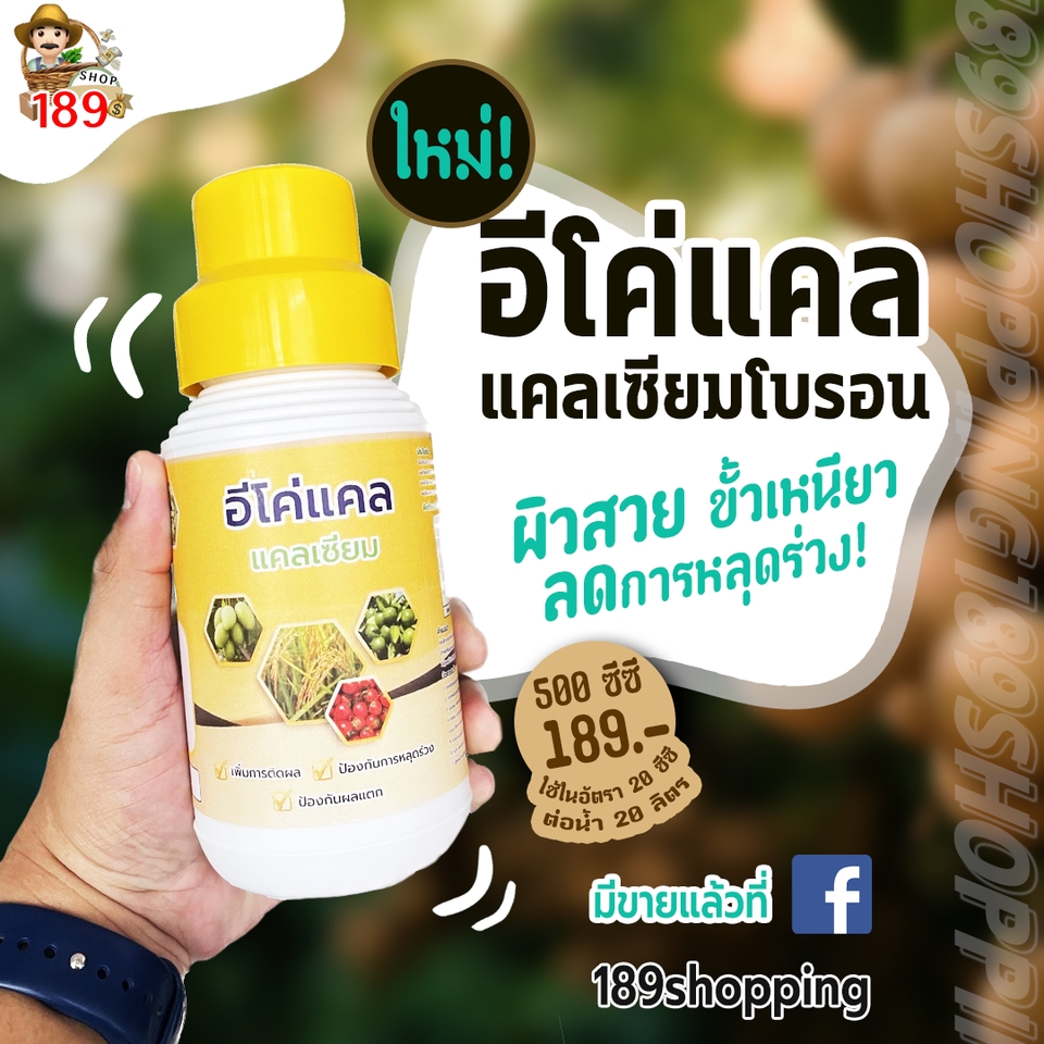 Banner โฆษณา - รับออกแบบแบรนเนอร์ (Banner) /ภาพโฆษณา / โปรโมนสินค้า / โปรโมชั่น - 6