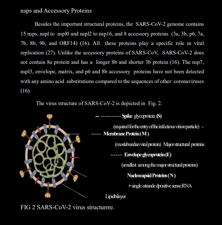 Pengetikan Umum - JASA KETIK CEPAT DALAM BAHASA INDONESIA DAN BAHASA INGGRIS 1 HARI JADI - 7