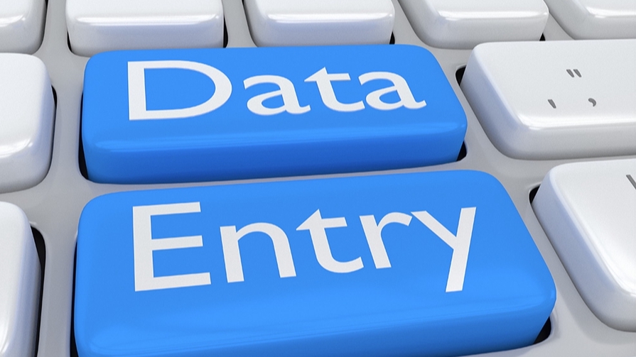 0c9c5e5e-85bc-47be-b48f-c537b3f63a19 - Data Entry Input Data 