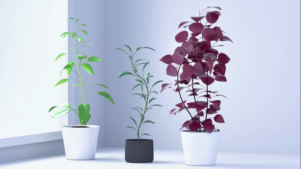 รับปั้นโมเดล 3d ต้นไม้ใบสีเขียว และใบสีแดง ในกระถาง 3 มิติ