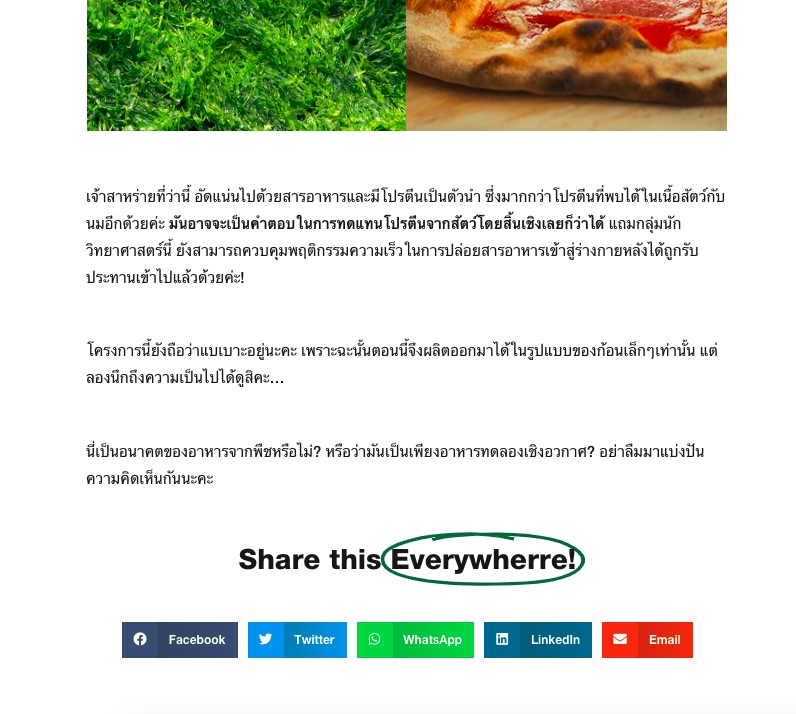 แปลภาษา - แปลงาน ระหว่างภาษาอังกฤษ-ไทย - 2