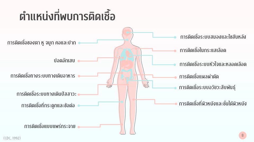 Infographics - รับทำงานที่เกี่ยวข้องกับสื่อการสอนและการเรียนต่อทุกระดับชั้นและงานทางด้านเชิงวิทยาศาสตร์ - 5