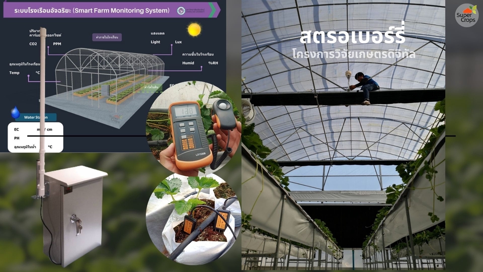 ระบบเกษตรอัจฉริยะ IOT Smart Farm Monitoring System รับทำระบบ IOT รับเขียนโปรแกรม Arduino รับจ้างเขียนโปรแกรม รับเขียนโค้ด Arduino รับแก้โค้ด Arduino