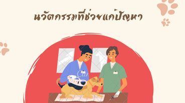 Presentation - รับทำสไลด์ใน CANVA หลากหลายรูปแบบ - 6