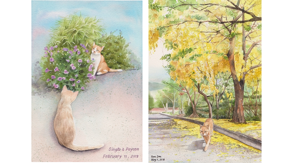 วาดภาพประกอบ - วาดภาพประกอบสีน้ำ ภาพวิวทิวทัศน์ สัตว์เลี้ยง ดอกไม้ - 3