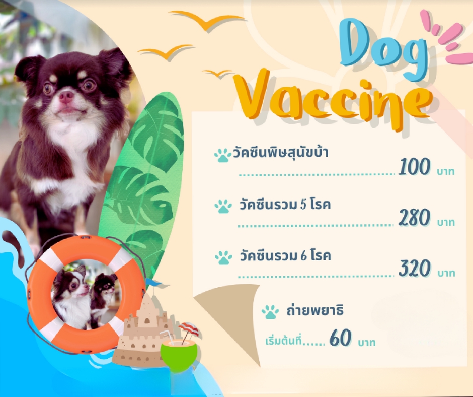 Infographics - infographic for clinic - 11