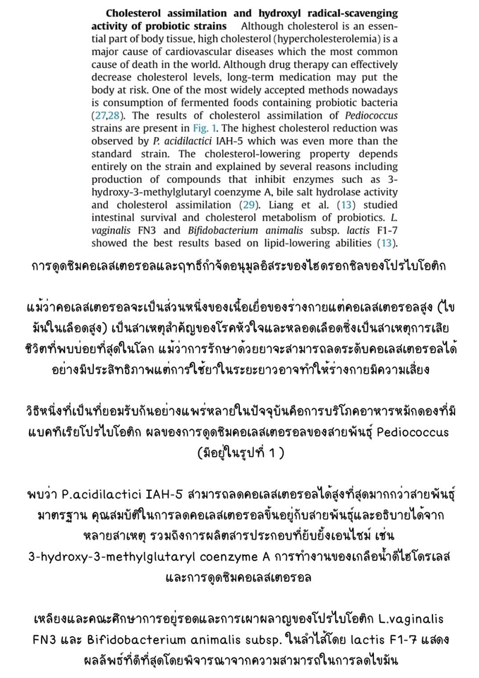 แปลภาษา - รับแปลภาษา EN-TH - 4