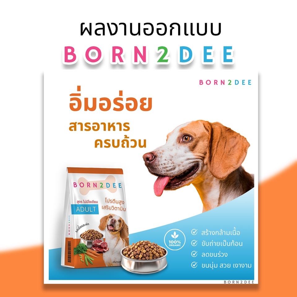Banner โฆษณา - ออกแบบแบนเนอร์โฆษณา สำหรับสื่อ Social Media - 6