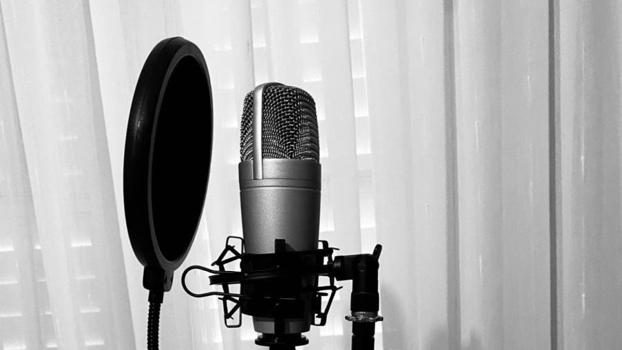 Sulih suara (dubbing, looping) - Pengisi suara video  - 1