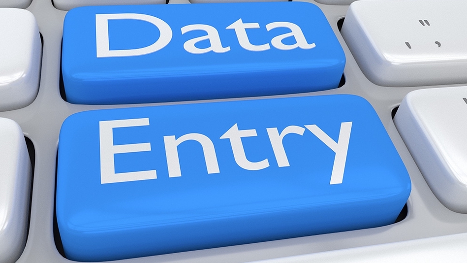 Entri Data - Data entry/ input data, Rekap data dalam Ms. Word, Exel, PDF - 1