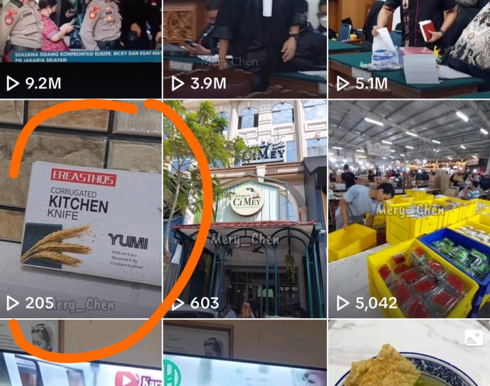 Selebgram/ Socmed - Posting video di TikTok - 5
