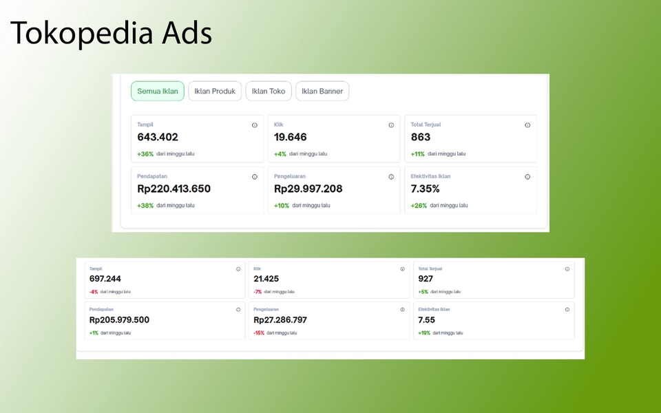 Digital Marketing - Paid Marketing Channel Optimization (META, Google, and TikTok Ads) & Ecommerce Ads - 8