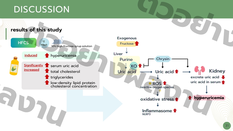 Presentation - งานออกแบบจัดทำ presentation - 9