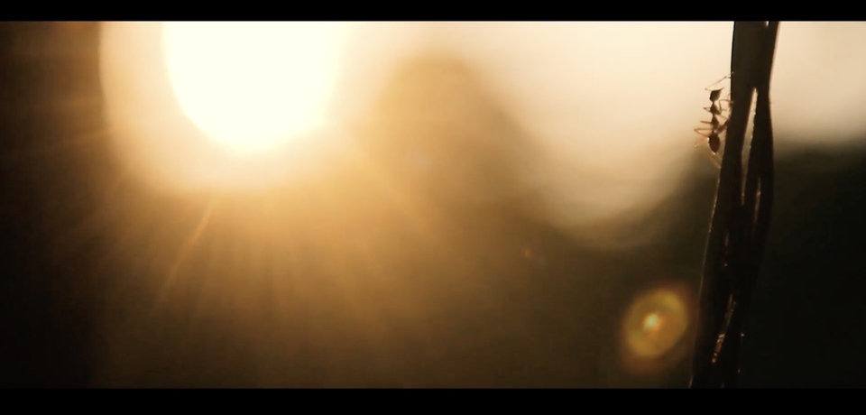 รับตัดต่อวีดีโอ งานแต่งงาน ถ่ายวีดีโอ งานแต่ง วีดีโอพรีเซ้นงานแต่ง รับทำพรีเซนเทชั่นแต่งงาน ช่างวีดีโองานแต่ง