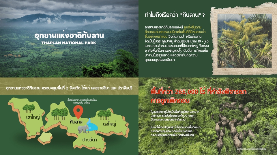 รับทำ presentation นำเสนอข้อมูลที่น่าสนใจ อาทิ presentation แผนธุรกิจ presentation ผลงานวิชาการ presentation สมัครเรียน  และงานอีเวนท์