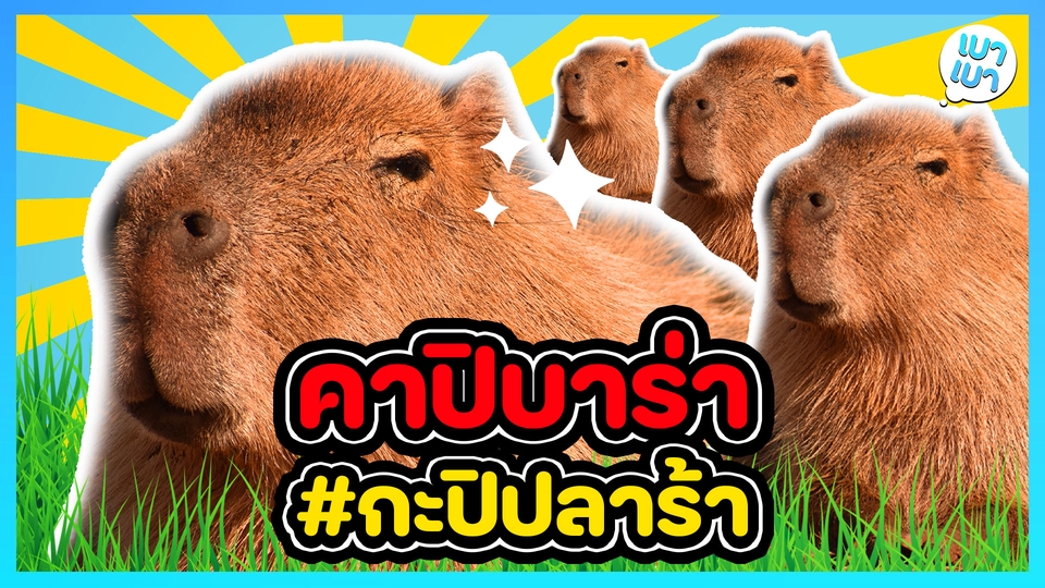 Banner โฆษณา - รับทำหน้าปก Youtube สไตล์ Vlog Lifestyle หรือสไตล์อื่น ๆ ตามบรีฟ (Youtube Thumbnail) - 11