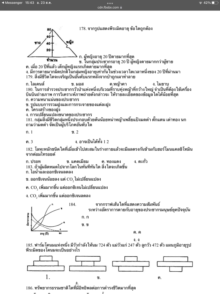 พิมพ์งาน และคีย์ข้อมูล - รับพิมพ์เอกสารไทย/อังกฤษ รายงาน ออกแบบข้อสอบ/แบบฝึกหัด พิมพ์ข้อสอบ คัดลอก งานแปลระดับประถม มัธยม - 3