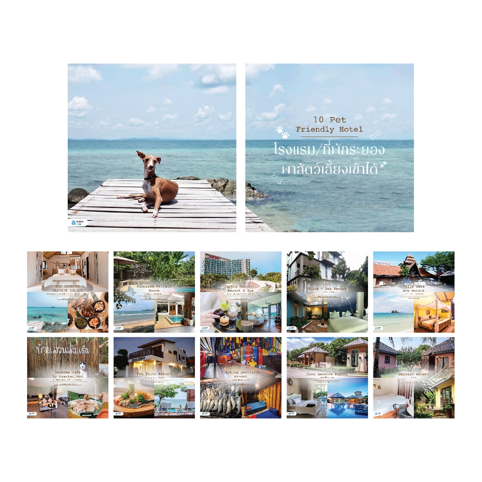 Banner โฆษณา - ออกแบบภาพ AD สื่อออนไลน์ FB/LINE/IG, Facebook Photo Album - 17