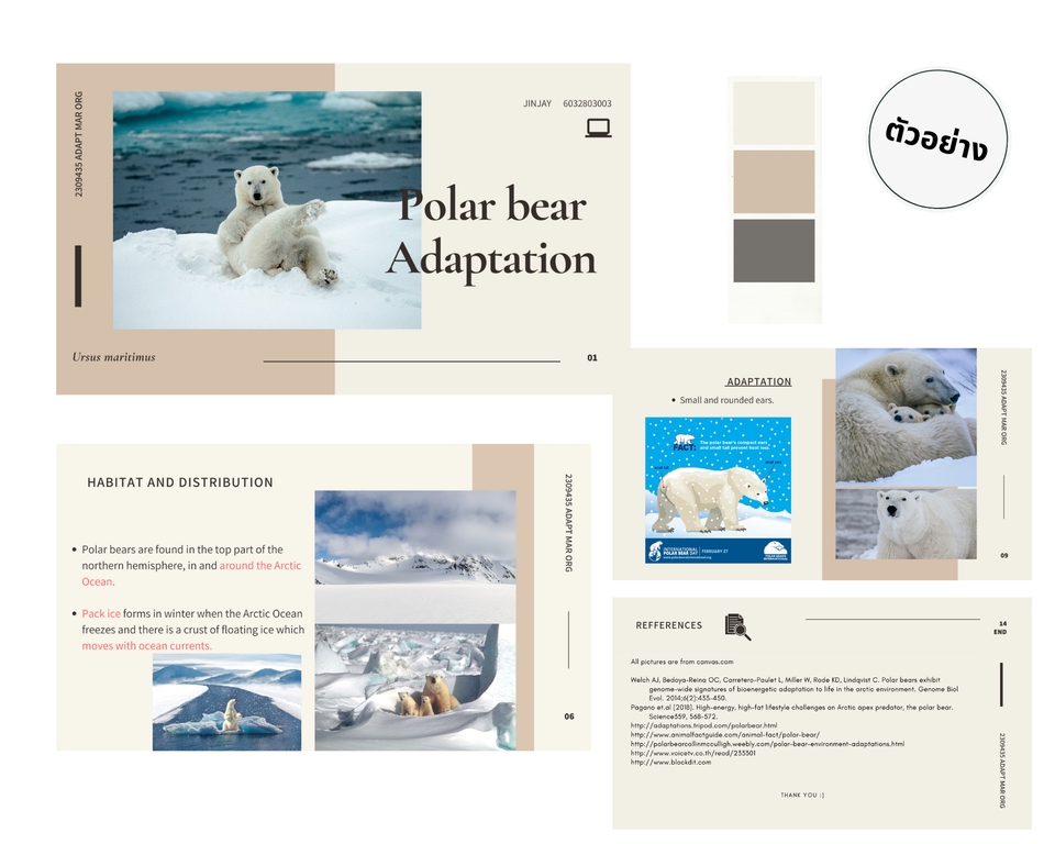 Presentation - รับทำ Presentation สื่อการเรียนการสอน (Slide) - 3