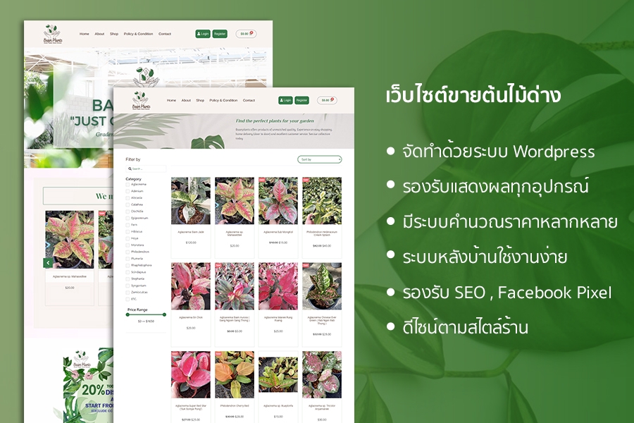 Wordpress - รับทำเว็บขายสินค้าออนไลน์ เว็บองค์กร เว็บทั่วไป - 3