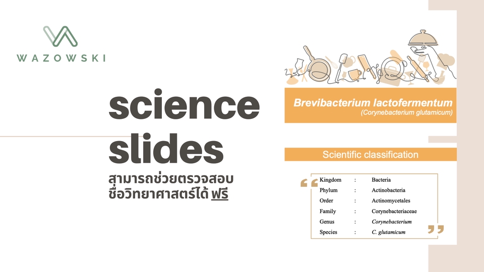 Presentation - ออกแบบ presentation รับงานด่วน 24 ชั่วโมง ! - 6