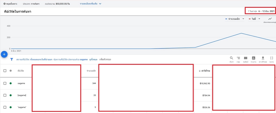 Google ads & Youtube ads - รับยิง Google Ads สายเทา และสายขาว - 2