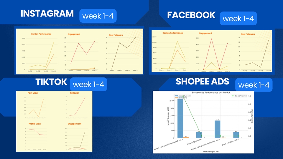 Digital Marketing - SOCIAL MEDIA HANDLING & MANAGEMENT | PROFESSIONAL - 16