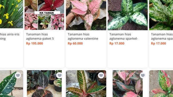 Update Produk Toko Online - Jasa Upload Produk Marketplace Tokopedia , Shopee dan Tiktok Shop Dengan Cepat - 2