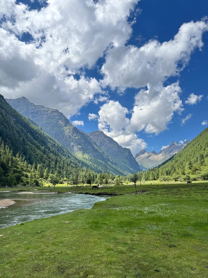 ไกด์ส่วนตัวพาเที่ยว จีน ภูเขา เขียว ชมวิว ธรรมชาติ