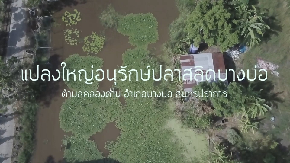 รับถ่ายวีดีโอโดรน สมุทรปราการ งานแต่งงาน