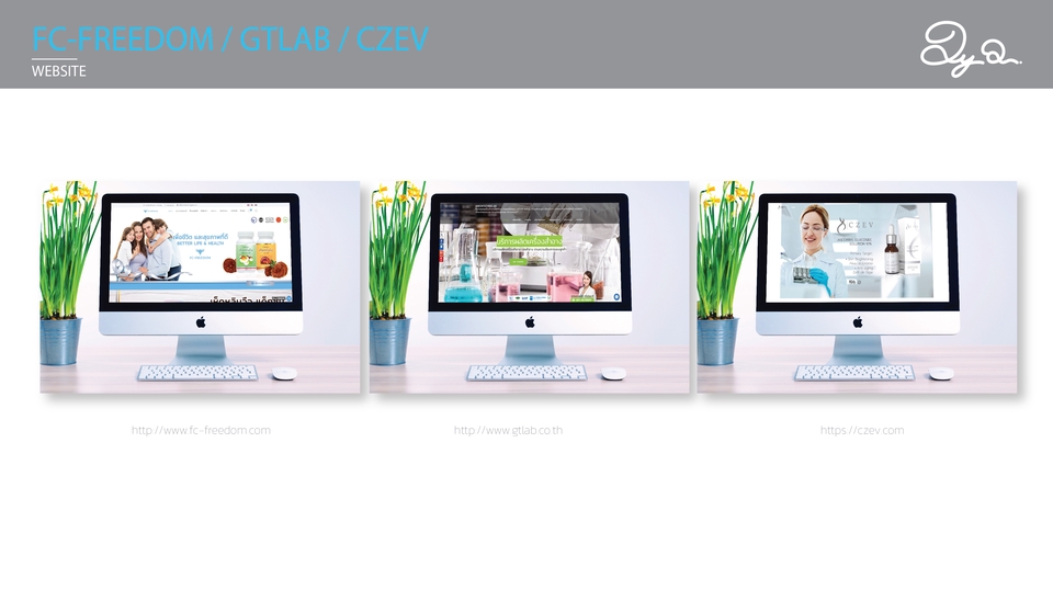 Web Development - ออกแบบ Website ธุรกิจ ร้านค้าออนไลน์ - 3