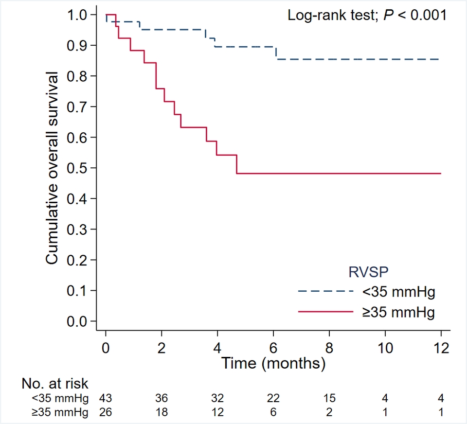 รับวิเคราะห์ข้อมูลสถิติ วิเคราะห์ดาต้า รับวิเคราะห์ข้อมูล spss Kaplan-Meier survival curve for overall survival in patients with RVSP <35 mmHg and RVSP ≥35 mmHg.