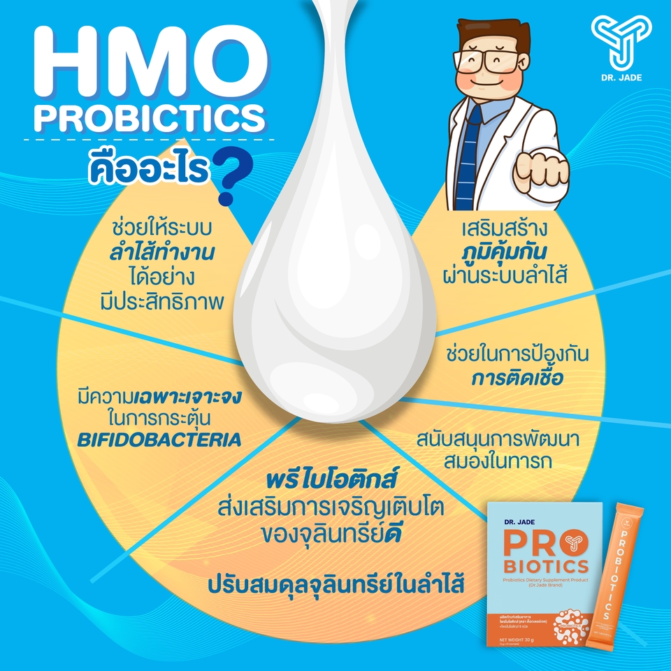 รับทำ infographic HMO โปรไบโอติก อธิบายคุณประโยชน์
