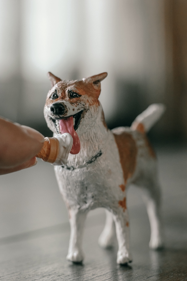 รับทำของขวัญวันเกิด ของขวัญแฮนเมด สุนัขน่ารัก