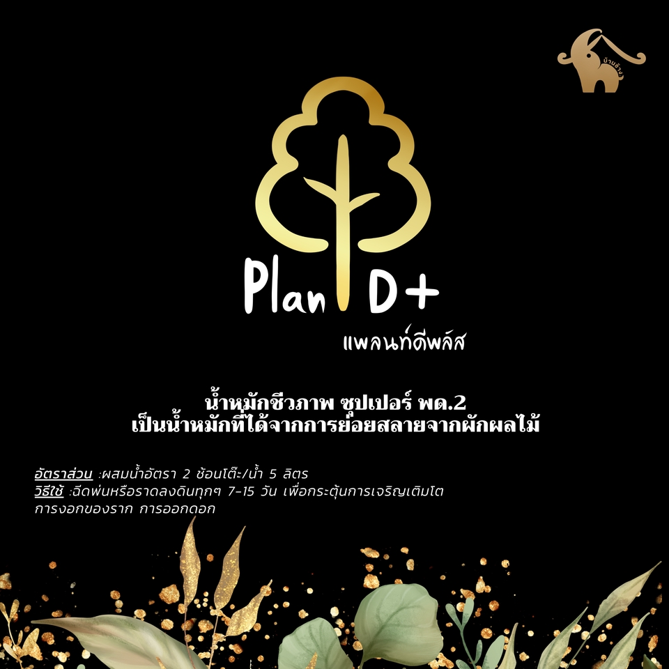 Logo - ออกแบบโลโก้ Logo design - 6