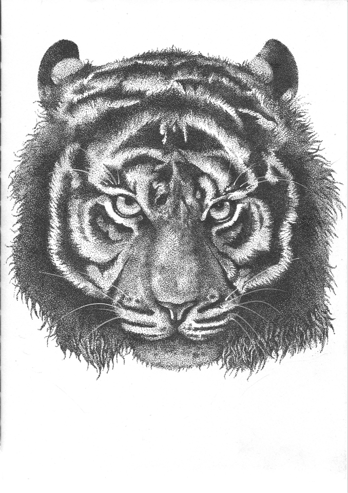 วาดภาพประกอบ - วาดภาพประกอบ - 4