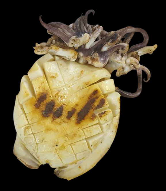 ไดคัท & Photoshop - ไดคัท ตัดพื้นหลัง ภาพทุกชนิด - 8