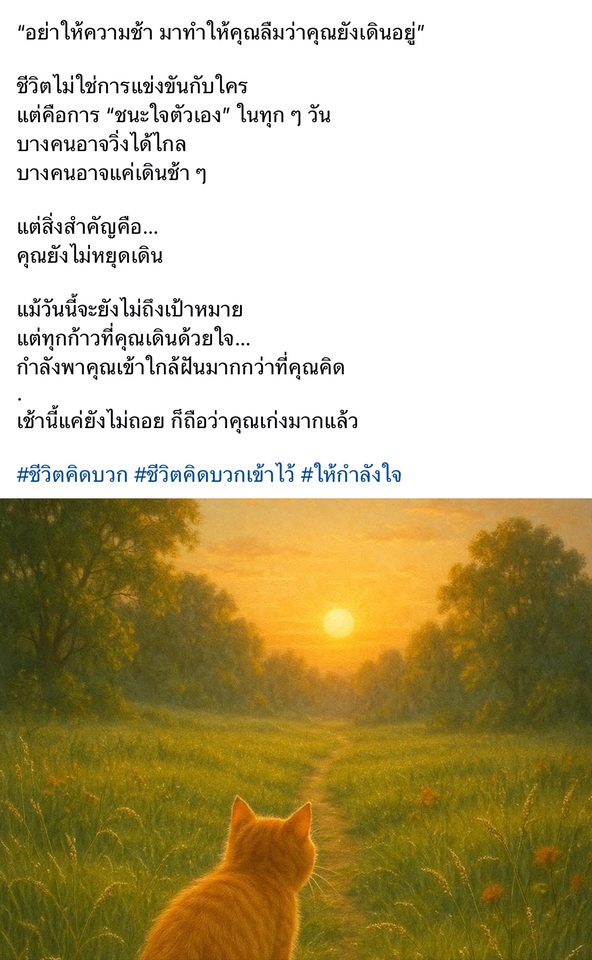 รับเขียนบทความสร้างแรงบันดาลใจ บทความภาษาไทย ภาพแมวและพระอาทิตย์ตก เขียนคอนเทนต์ แคปชั่นโดนใจ