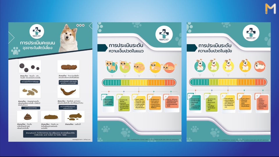 Infographics - บริการออกแบบ infographics ตอบโจทย์ลลูกค้า - 5