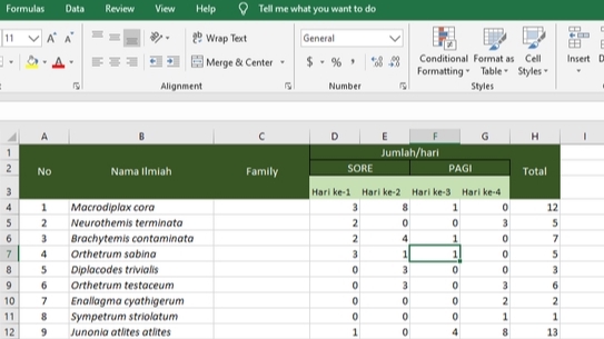 Entri Data - Jasa Pengetikan Ulang Entri Data Database Cepat  - 5