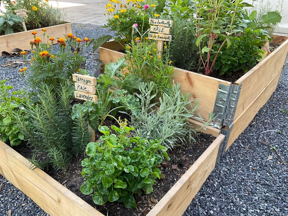 รับจัดสวนสวยสไตล์โมเดิร์น ออกแบบสวนครัวแนวตั้ง จัดสวนบ้าน